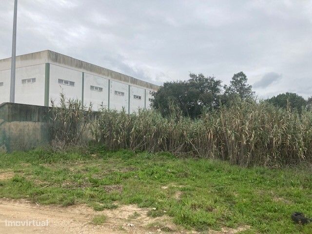 Terreno industrial para venda no Cartaxo