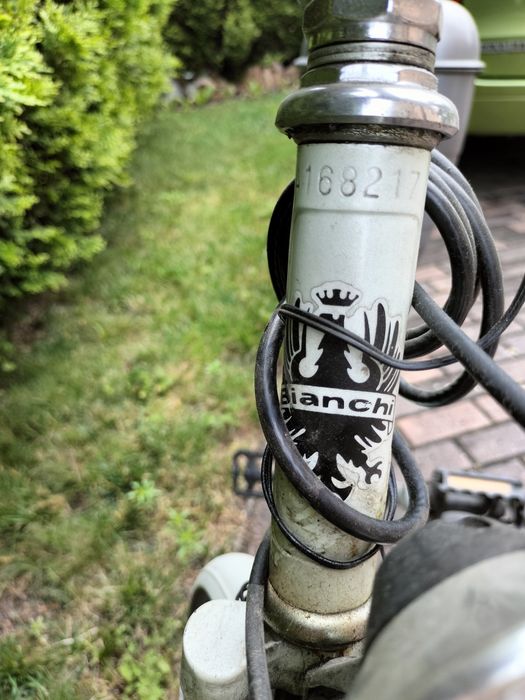 Rower Bianchi Lacus