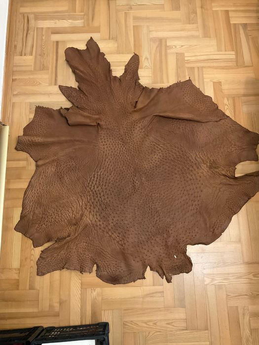 Skóra naturalna ze strusia, duża (b)