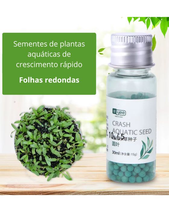 Sementes para aquario