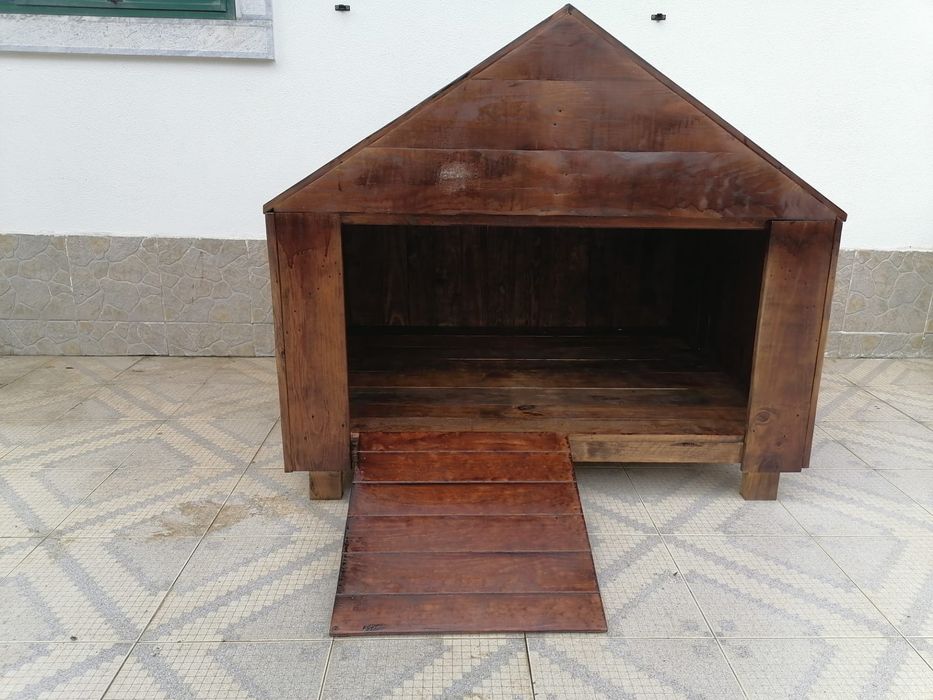 Casota adaptada para cão com mobilidade reduzida