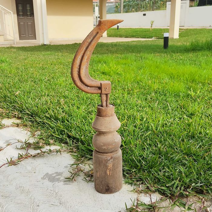 Pé de Sapateiro ou Bigorna