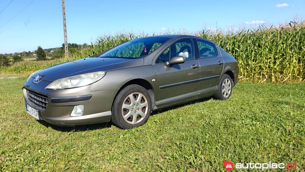 Peugeot 407
