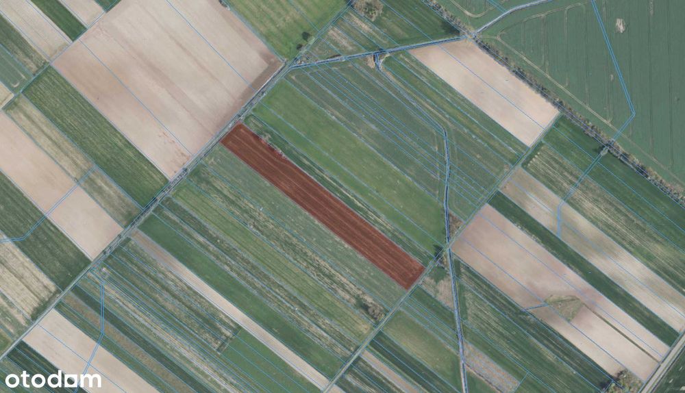 Działka rolna 1,55 ha w Żabcach, regularny kształt, Blisko A2 i s19