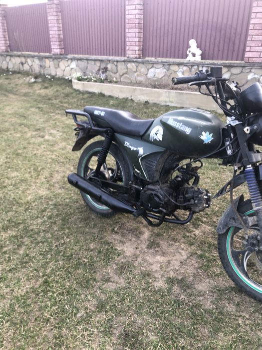 Продам мустанг дінго 125