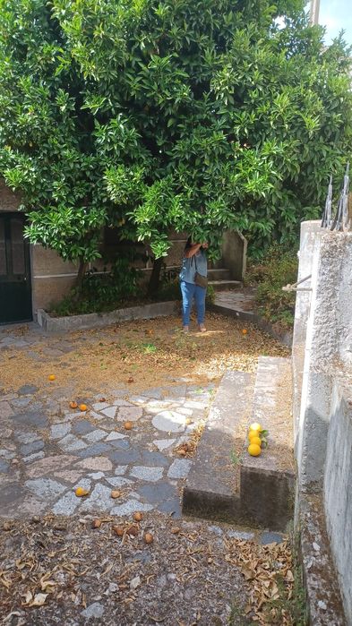 Moradia em Bisalhães-Rua da Cobrinha