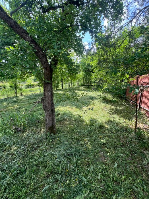 Цегляний будинок 46 м² + 8 соток землі | Станиля | 2 км до Трускавця