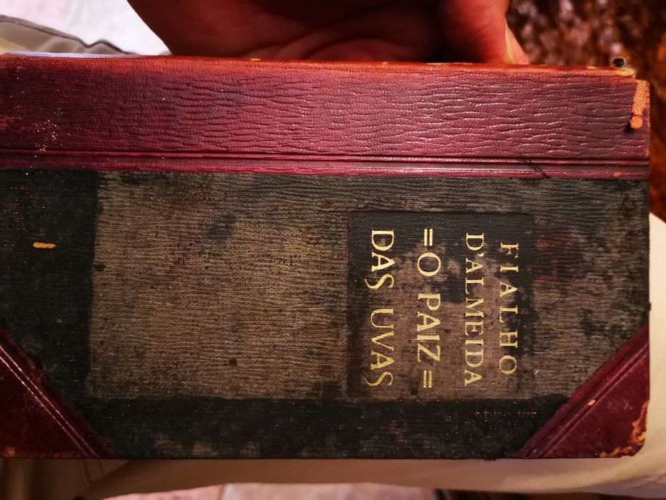 Livro Paiz das uvas