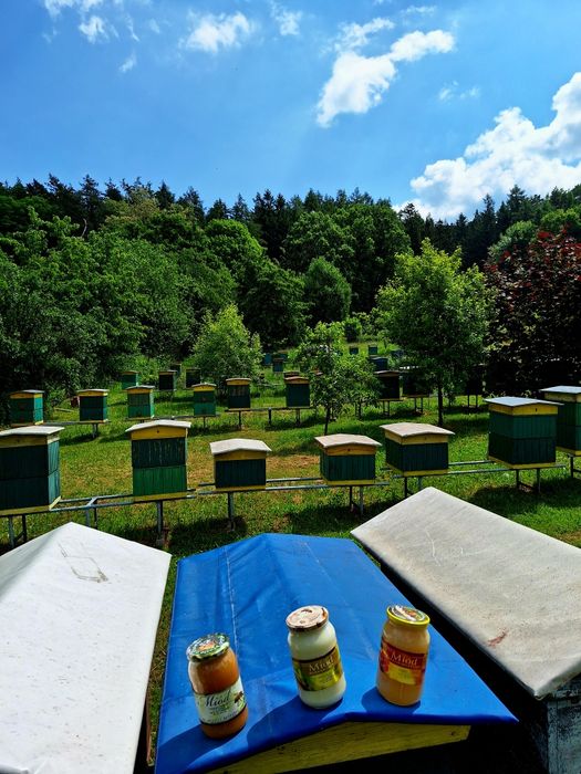 Naturalny Miód z domowej pasieki