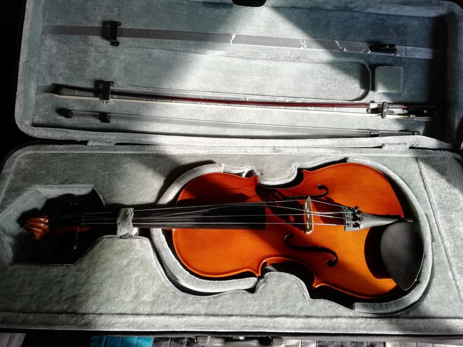 Viola d'Arco as New64286586344323122