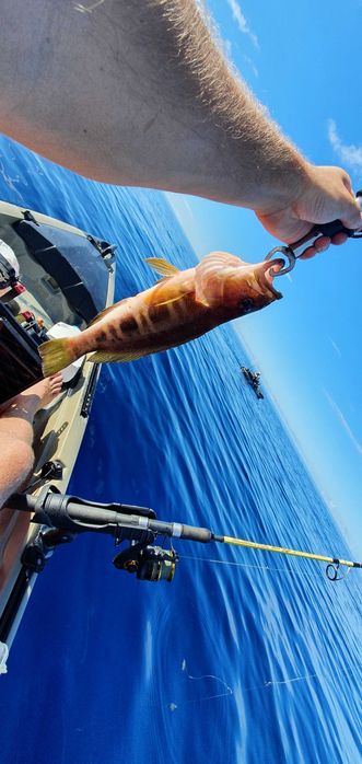 Kayak pesca como novo