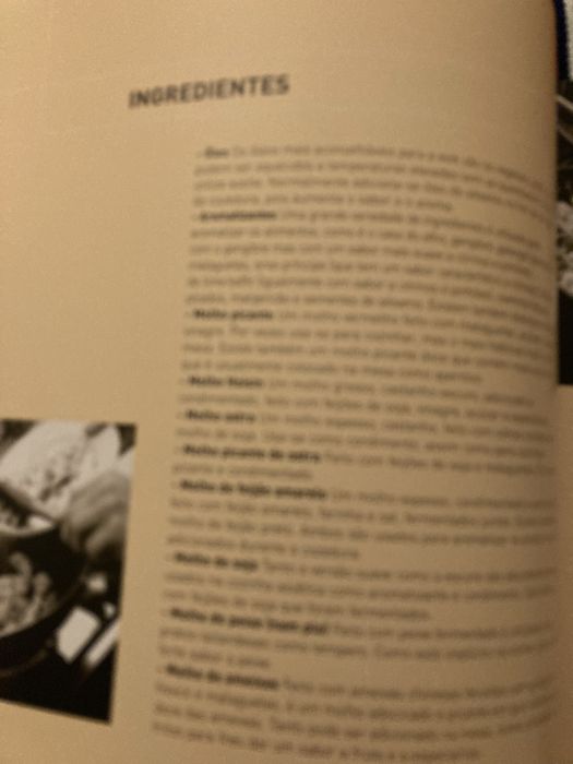 O Livro do Wok 100 receitas frescas e deliciosas