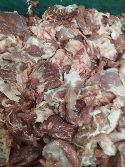 Продам свинячу головізну