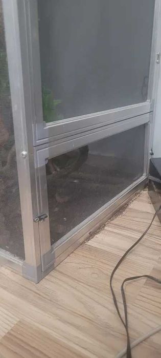 terrarium dla gadów