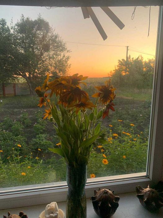 Дачка неподалік Білої Церкви .Ділянка приватизована.