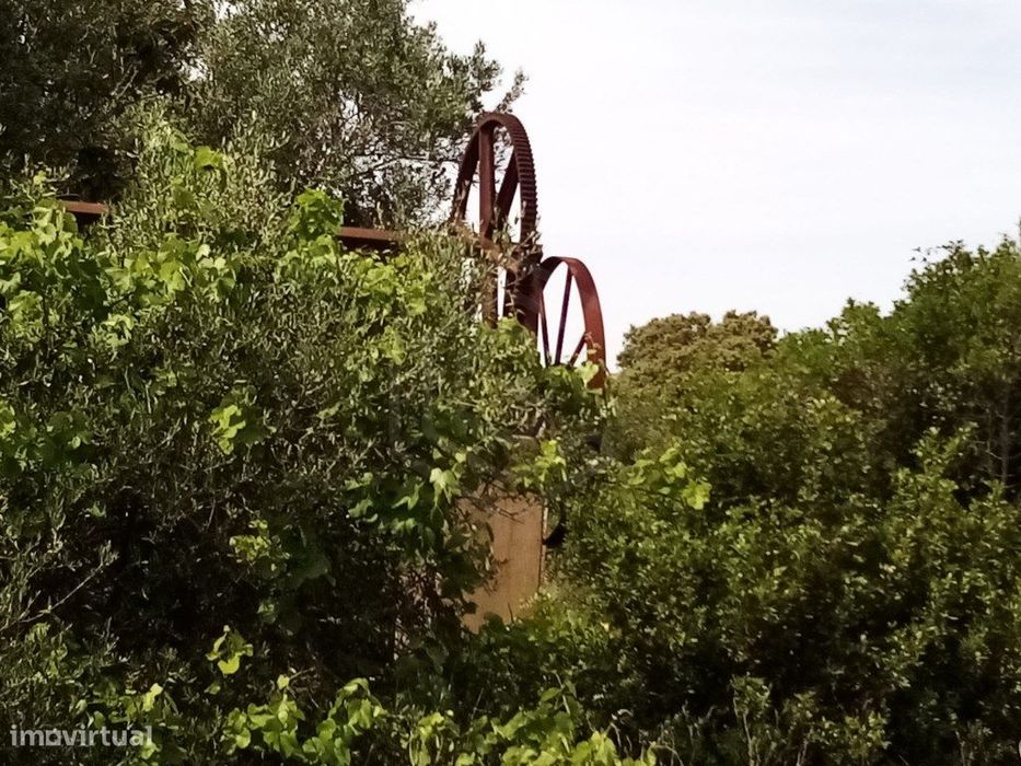 Terreno Rustico com 11 136m2, Loulé, Algarve