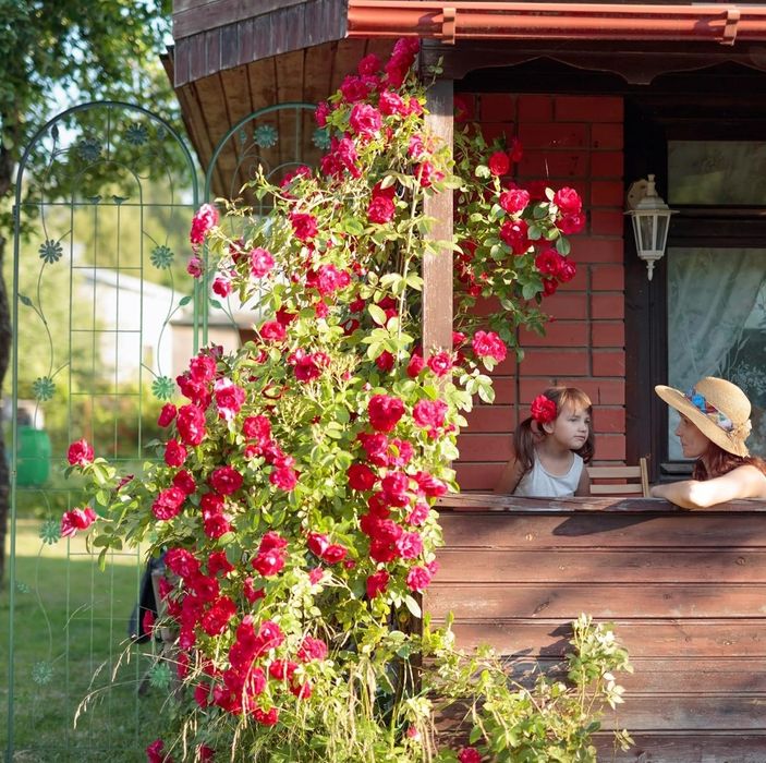 Relaxdays Kratka dla roślin pnących, zestaw 2 sztuk