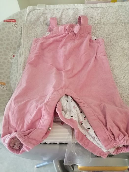 Fatos e macacoes de bebé