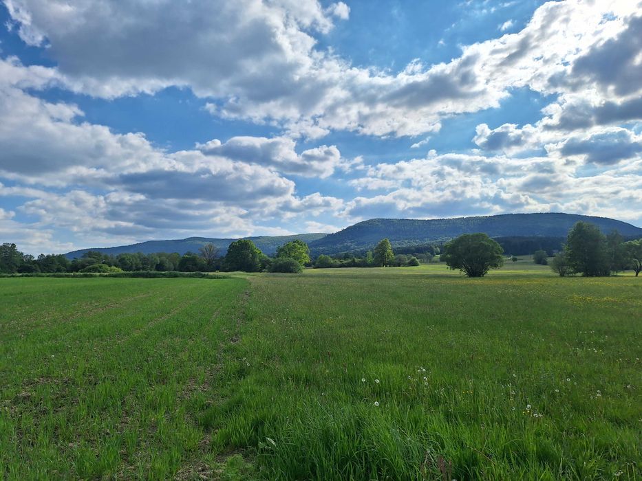 Działka rolno-budowlana