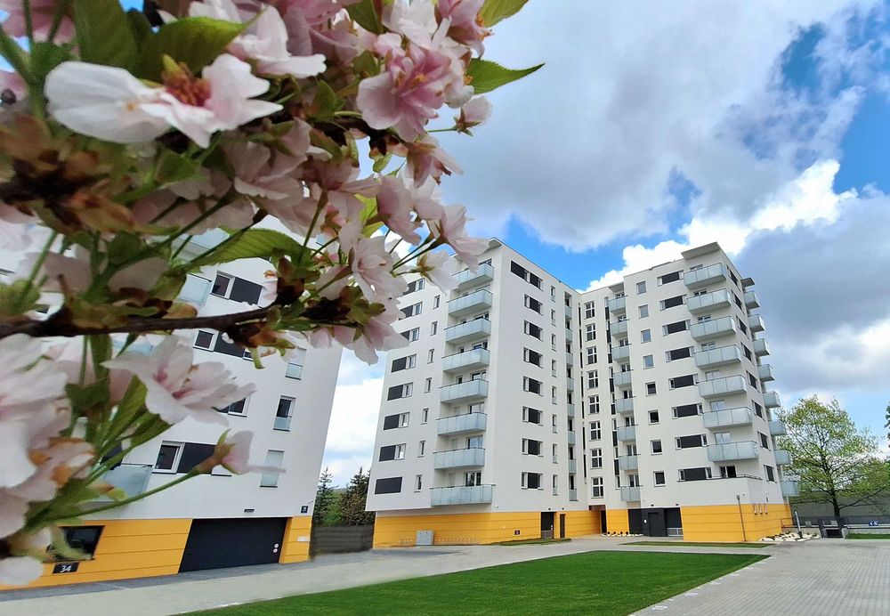 Kawalerka 24 m², Poznań, rynek pierwotny, stan deweloperski, gotowe - Widok 6