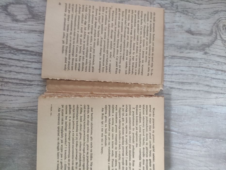 "Dzień noc i pora niczyja" Ewa Nowacka