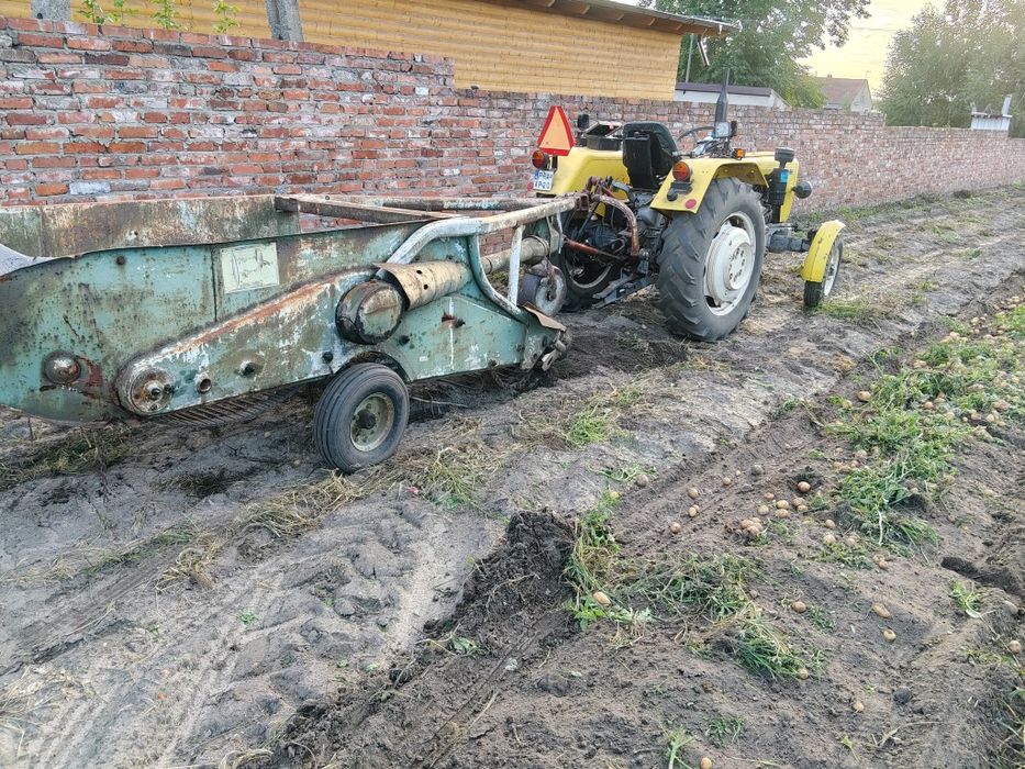 Kopaczka elewatorowa do ziemniaków