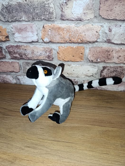 Maskotka lemur kata jak nowa