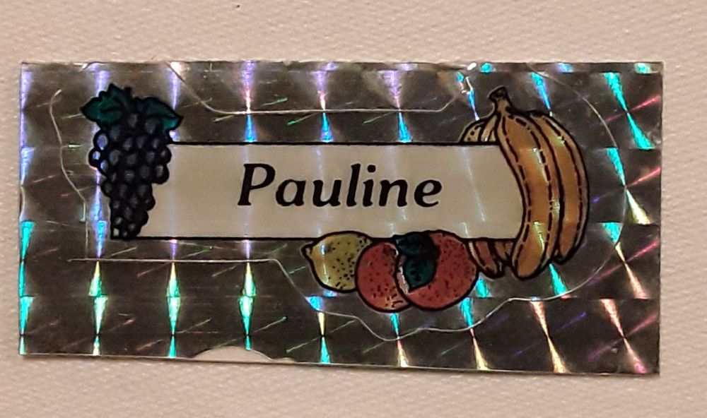 Conjunto de 5 stickers/autocolantes "Pauline"
