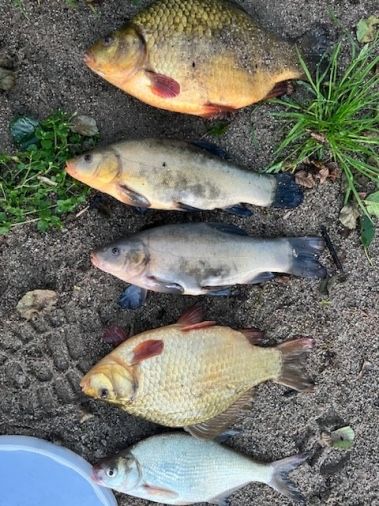 Domek na Mazurach nad jeziorem z linia brzegowa