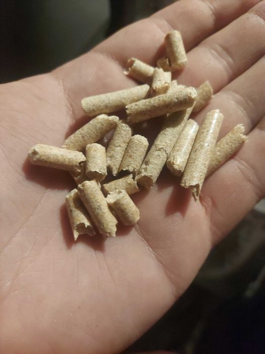 Pellet Sosnowy (iglasty)