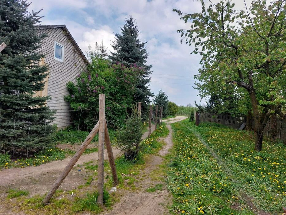 Na sprzedaż siedlisko położone w gminie Mszczonów, zaledwie 55 km od Warszawy – 1 h drogi. Działka o pow. 3124 m² j – pohled 3