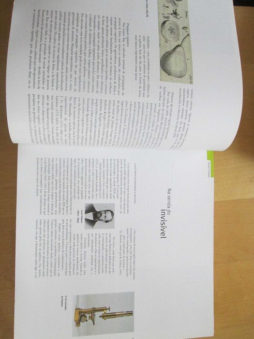 Os genes e a alimentação, dir. de Esther V. Schärer-Züblin