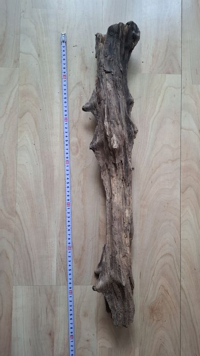 Wyposażenie terrarium, konar, drapak