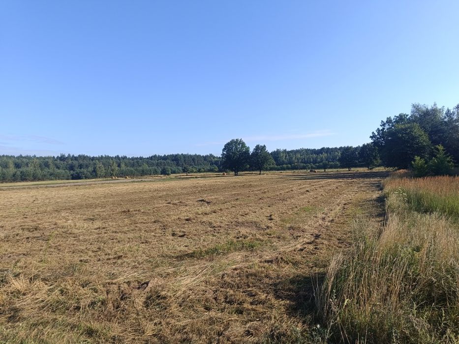 Działka 7500m z wydanymi WZ, 60m szerokości w pięknej okolicy