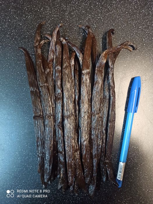 Ваниль бурбонская палочки мадагаскарская 16-18 см. Крупная и мягкая