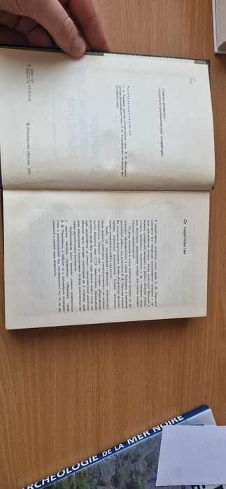 Про початок людської історії