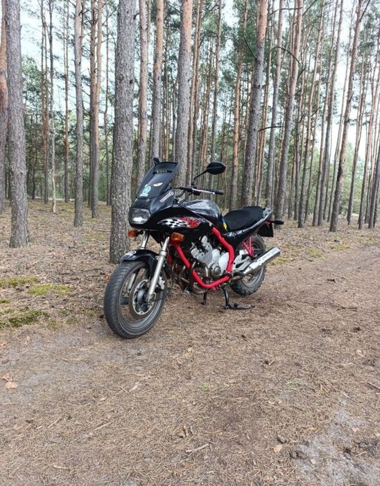 Ямаха Диверсія600
