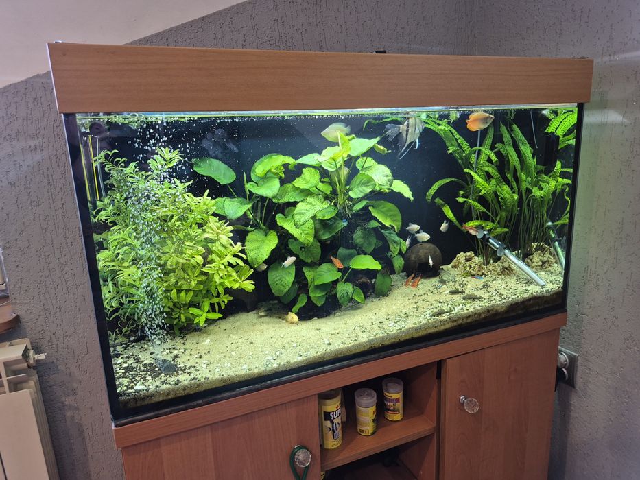 Kompletne akwarium 200l