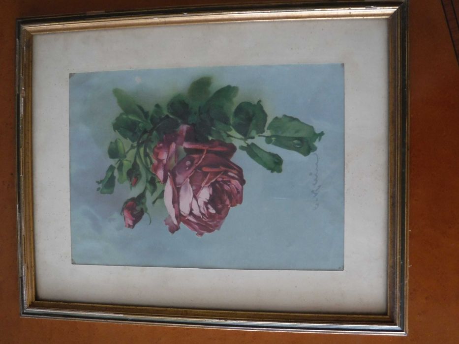 Quadro vários - Cada