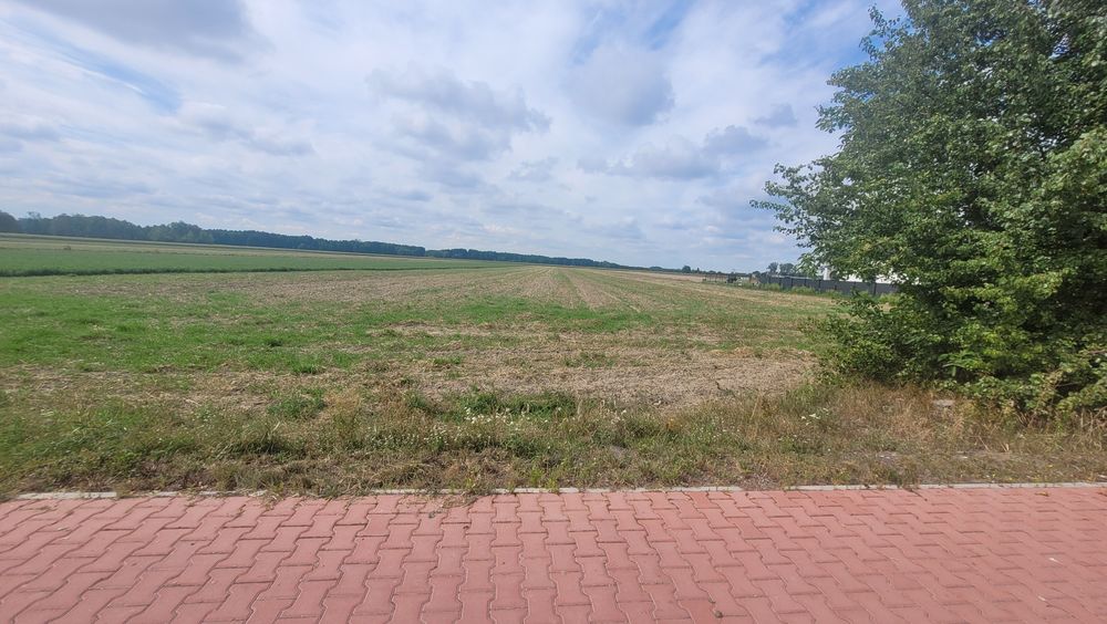 Dwie działki na sprzedaż z możliwością zabudowy – łącznie 2,21 ha | Paciorkowa Wola Nowa (gm. Zwoleń) - Widok 3