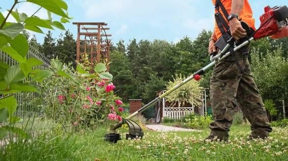Koszenie trawników, działek i ogródków