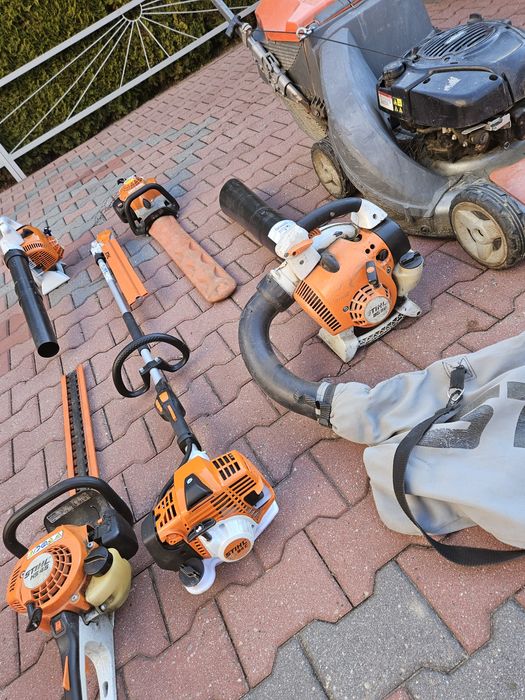 Ciecie tui pielęgnacja ogrodow