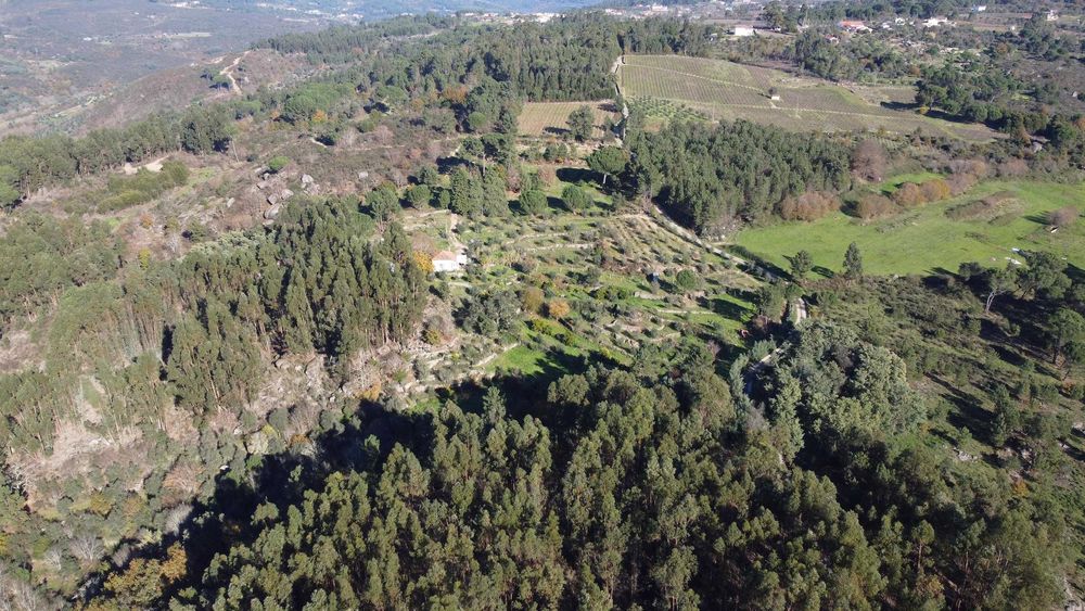 Vende‑se Quinta do Vale — 7 hectares de natureza viva