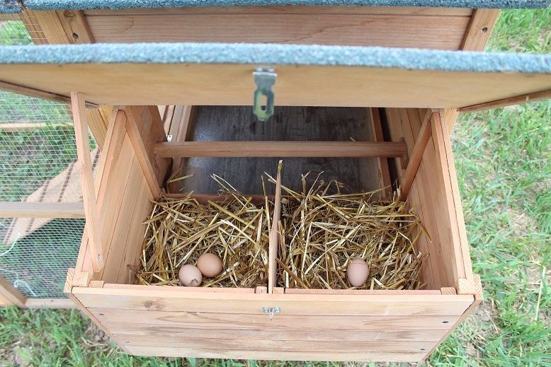 Курятник,миникурятник на 5-8  кур.