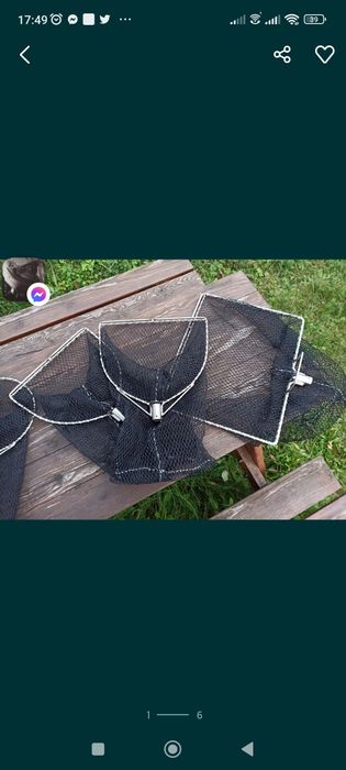 Kaszorek kasarek na bursztyn