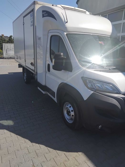 fiat ducato chłodnia kontener 8 palet
