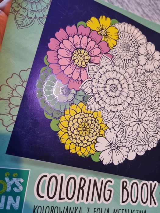 Kolorowanki metaliczne książka kot ma dala prezent