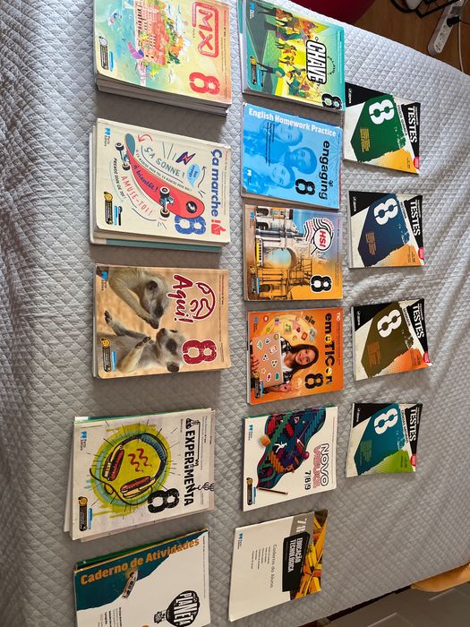 Vendo todos os livros necessários para o 8 ano