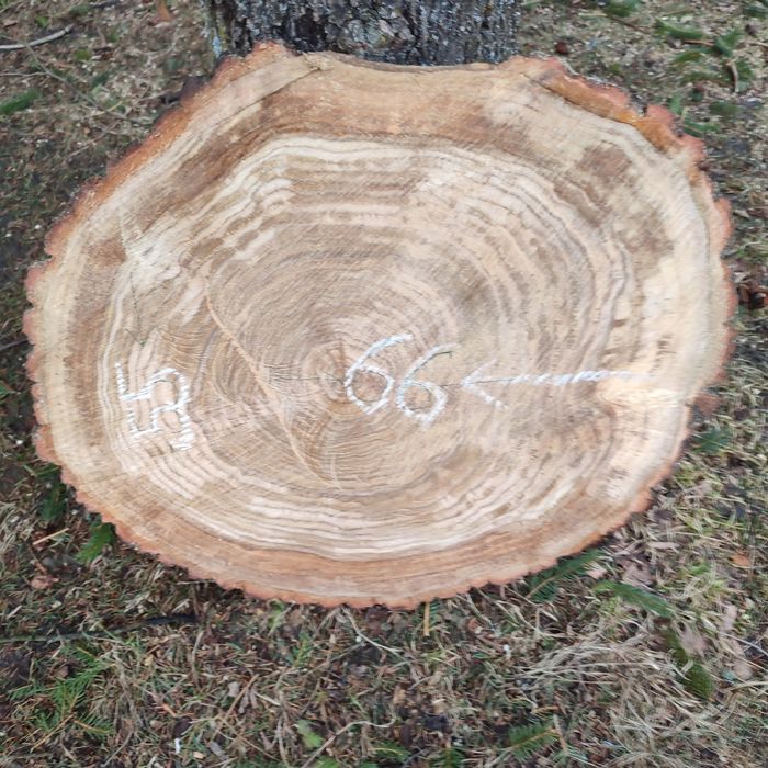 Okrągłe pilastry dębowe