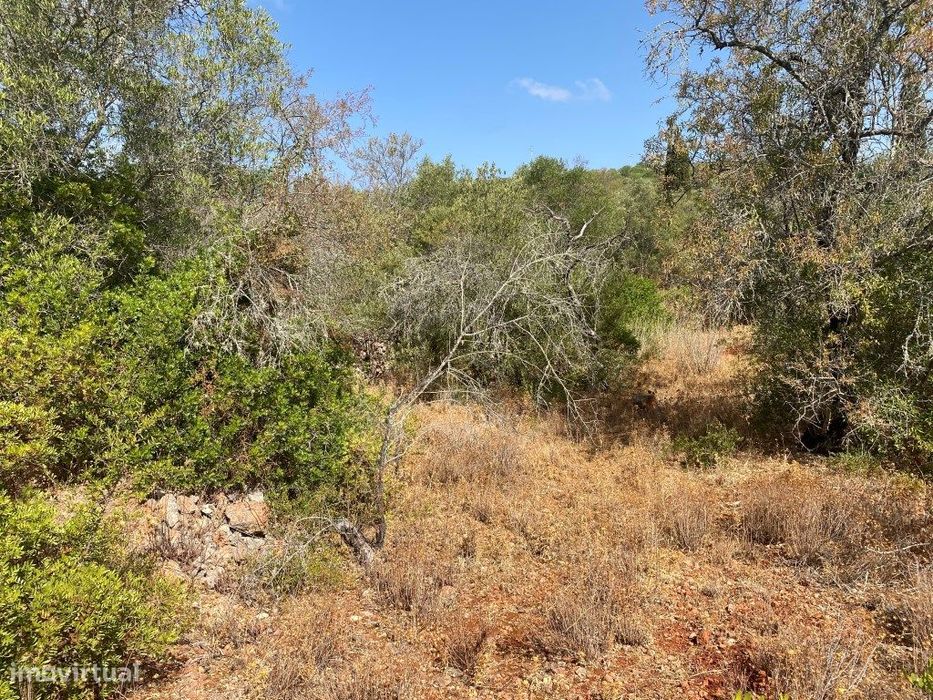 Lote de Terreno Rústico no Serro dos Passarinhos, Loulé, Algarve